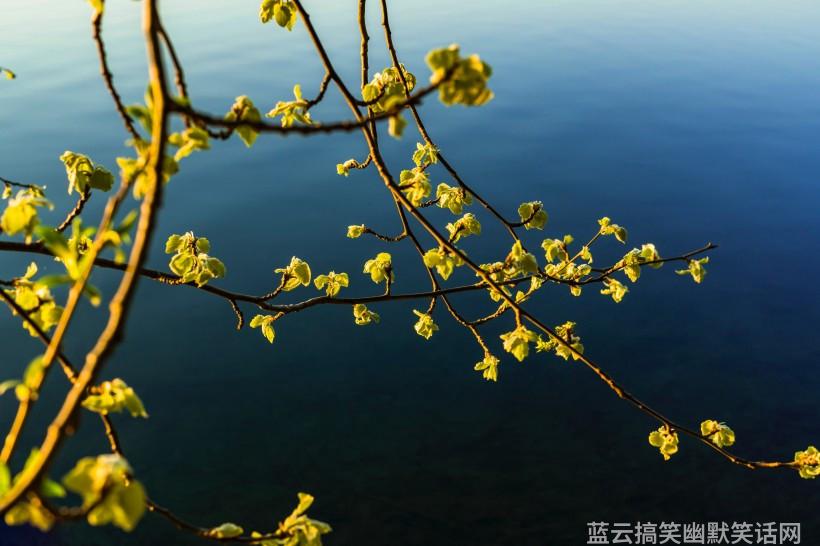 脑筋转急转弯_脑筋急传弯_来个脑筋急转弯